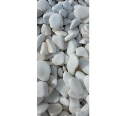 Ocean White 3-6 cm