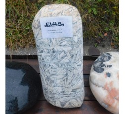 Bamboo Esemplare