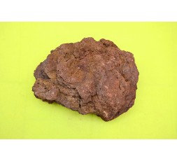 Lava Red